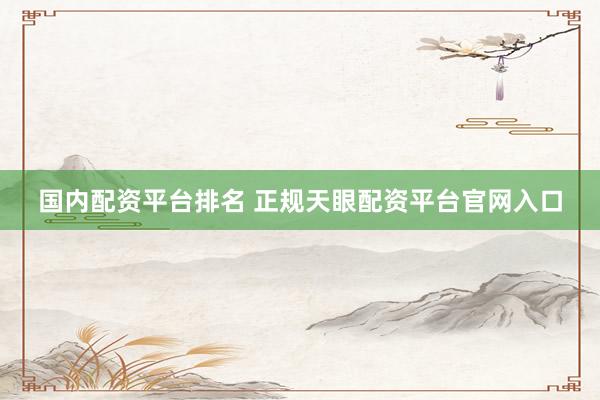 国内配资平台排名 正规天眼配资平台官网入口