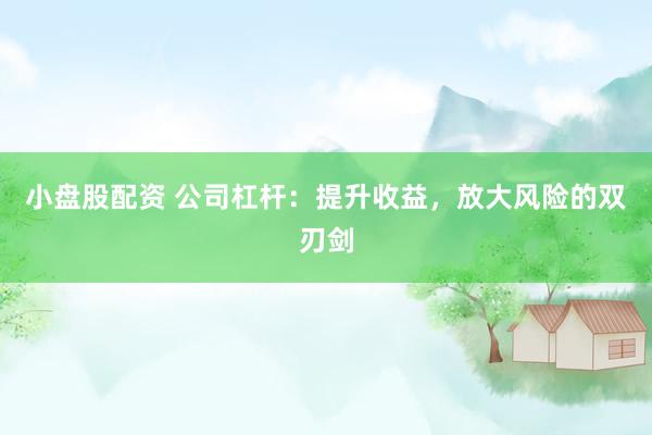 小盘股配资 公司杠杆：提升收益，放大风险的双刃剑