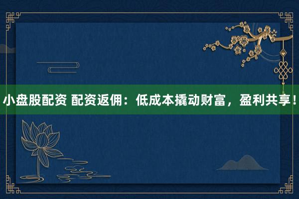 小盘股配资 配资返佣：低成本撬动财富，盈利共享！