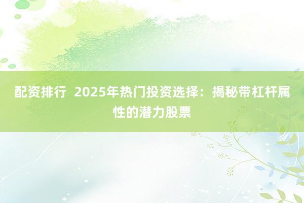 配资排行  2025年热门投资选择：揭秘带杠杆属性的潜力股票