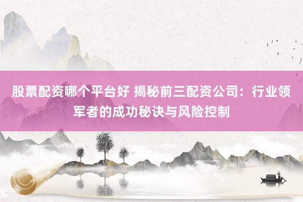 股票配资哪个平台好 揭秘前三配资公司：行业领军者的成功秘诀与风险控制