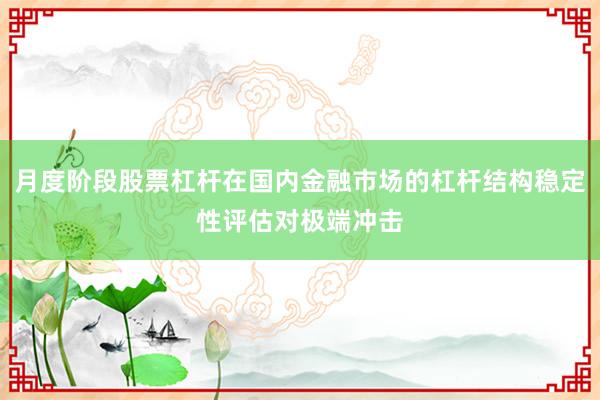 月度阶段股票杠杆在国内金融市场的杠杆结构稳定性评估对极端冲击
