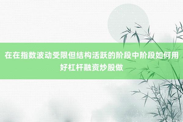 在在指数波动受限但结构活跃的阶段中阶段如何用好杠杆融资炒股做