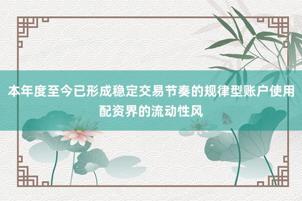 本年度至今已形成稳定交易节奏的规律型账户使用配资界的流动性风